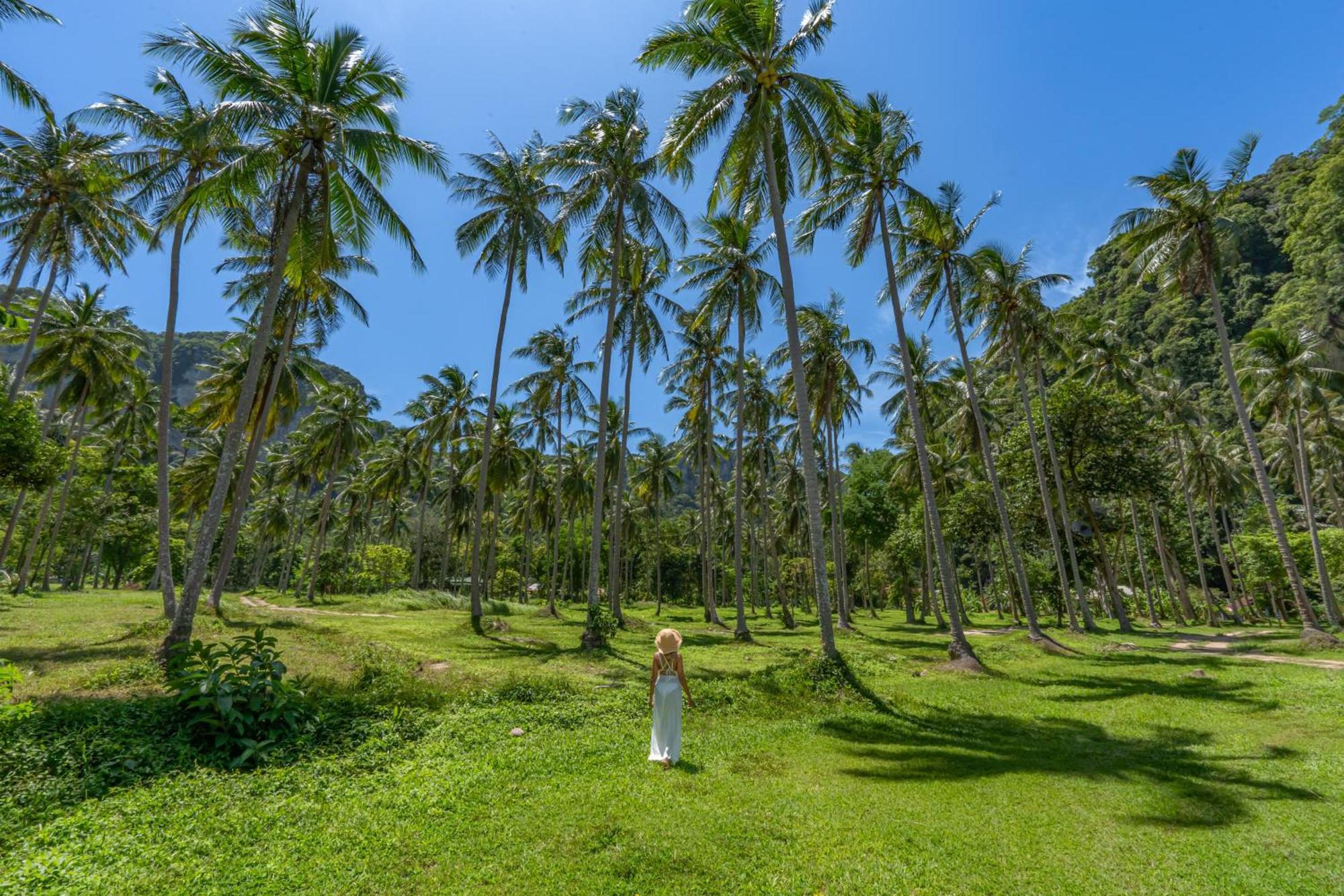 Tinidee Hideaway Tonsai Beach Krabi - Sha Extra Plus Bagian luar foto